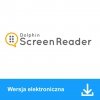 Dolphin ScreenReader